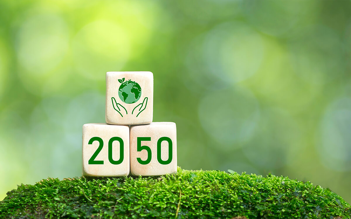Holzklötzchen mit grüner Jahreszahl 2050 auf Moos