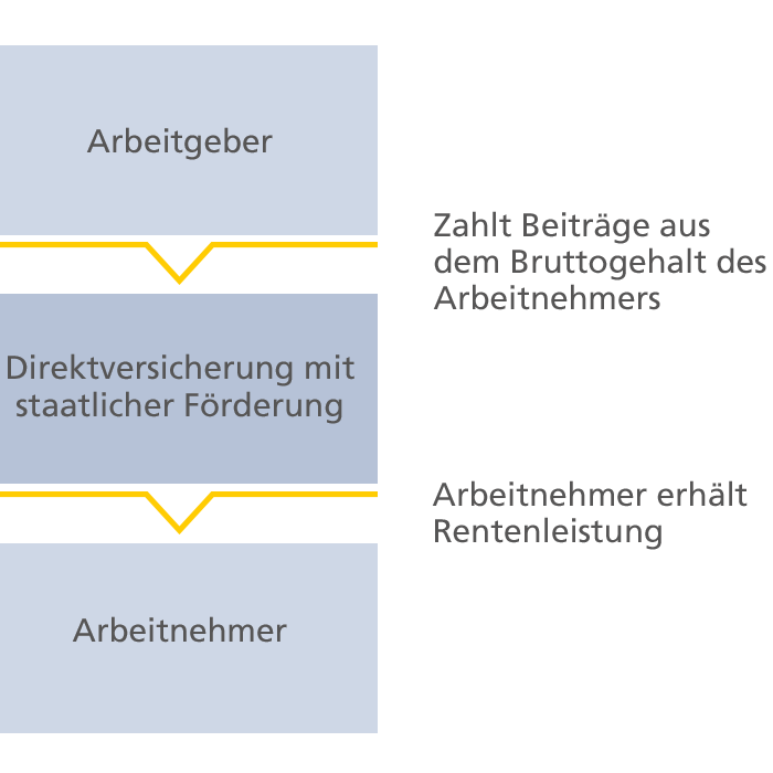 Hohe Beitragsersparnisse