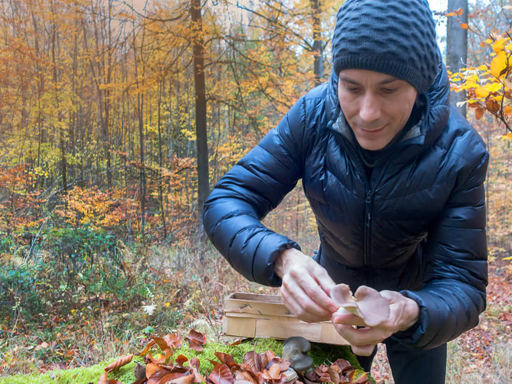 Ein Mann sammelt Pilze im Wald