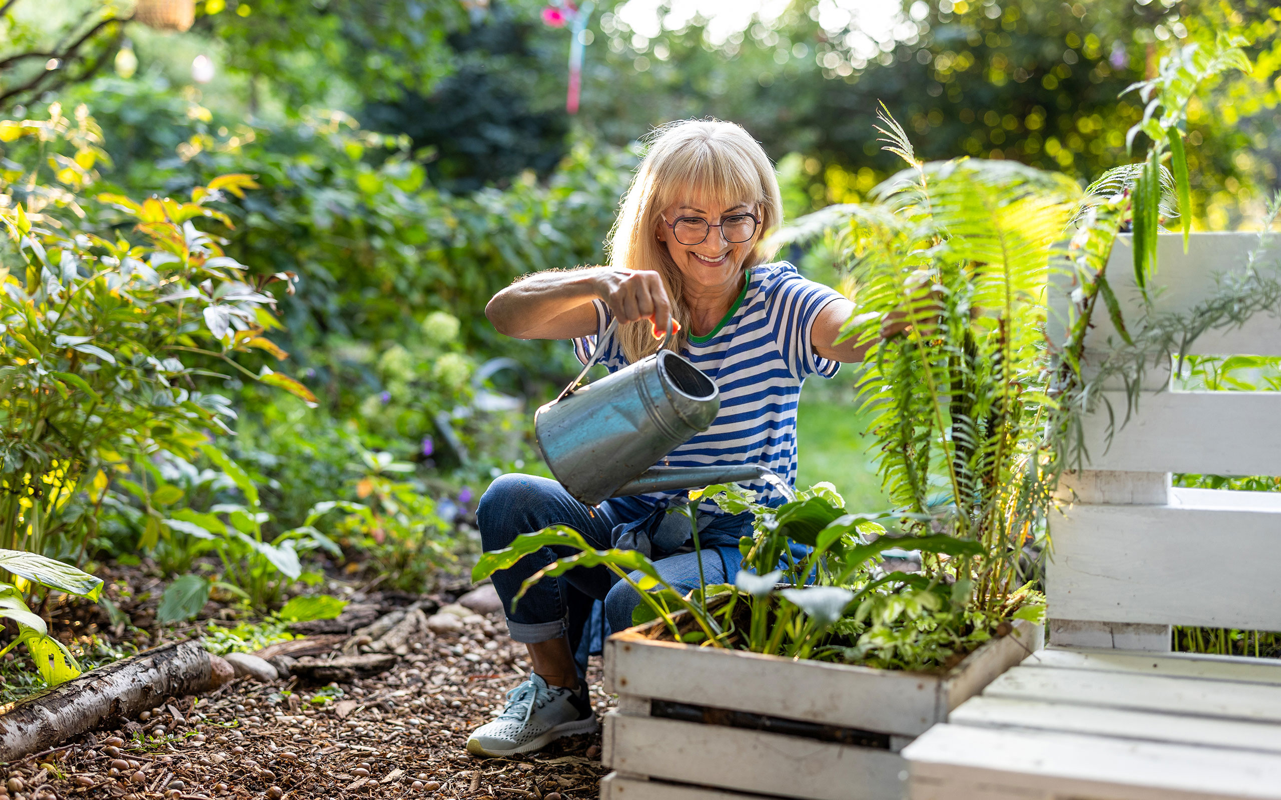 Schrebergarten: Kosten, Vorschriften und Tipps 
