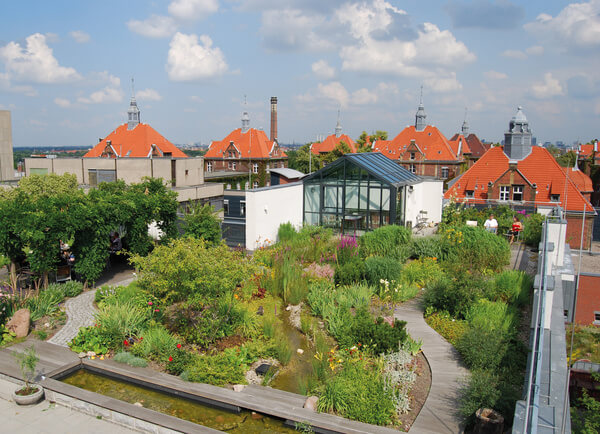 Bild Nr. 6751, Quelle: Optigün international AG