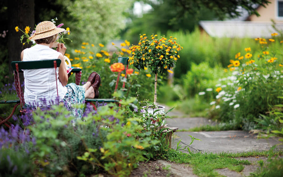 Gärten voller Wildblumen erfreuen nicht nur Menschen, sondern auch Bienen, Hummeln und Co.