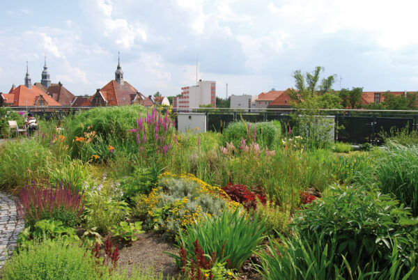 Gründächer wirken als natürliche Wärmedämmung und sparen Heizkosten Bild Nr. 6326, Quelle: Optigrün/BHW Bausparkasse