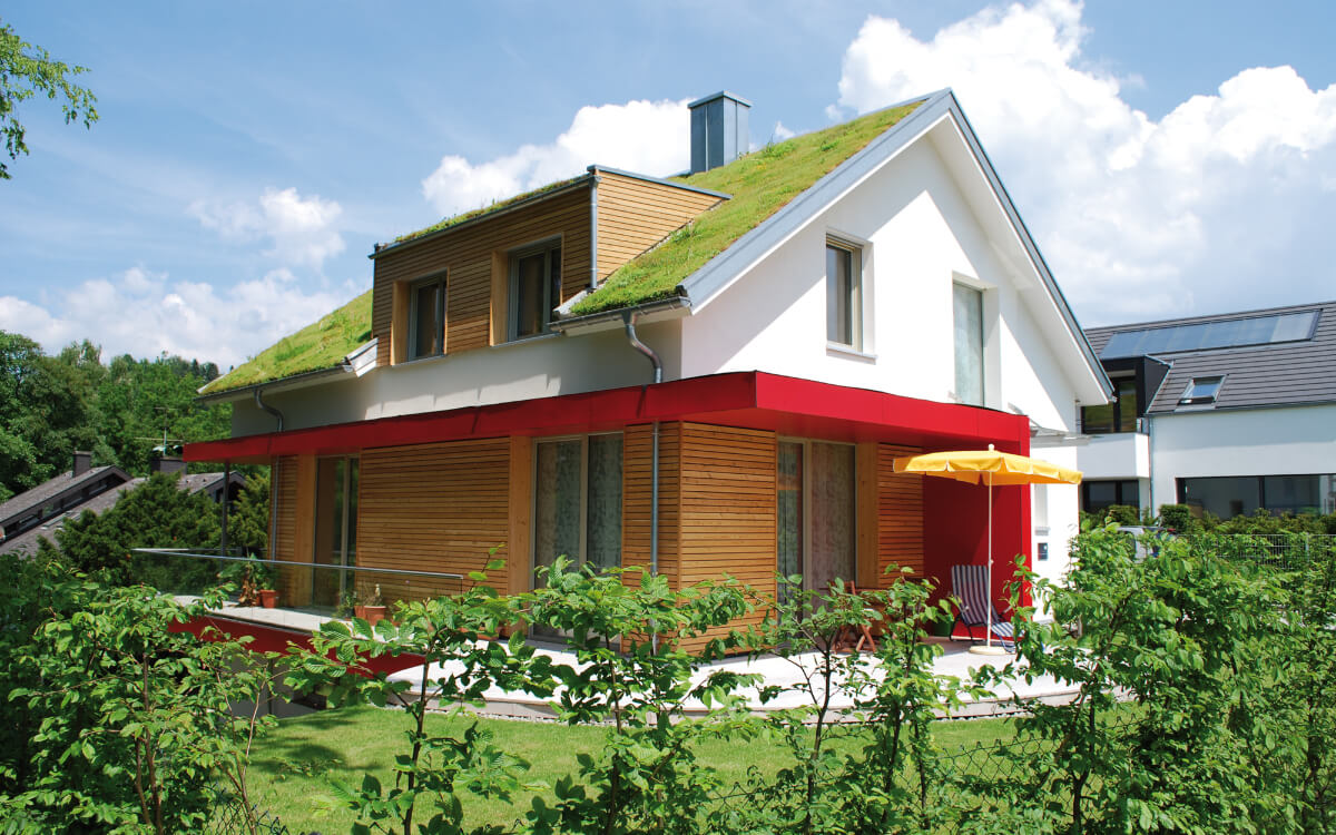 Natürliche Alternative zu Klimageräten: Fassaden und Dachbegrünungen