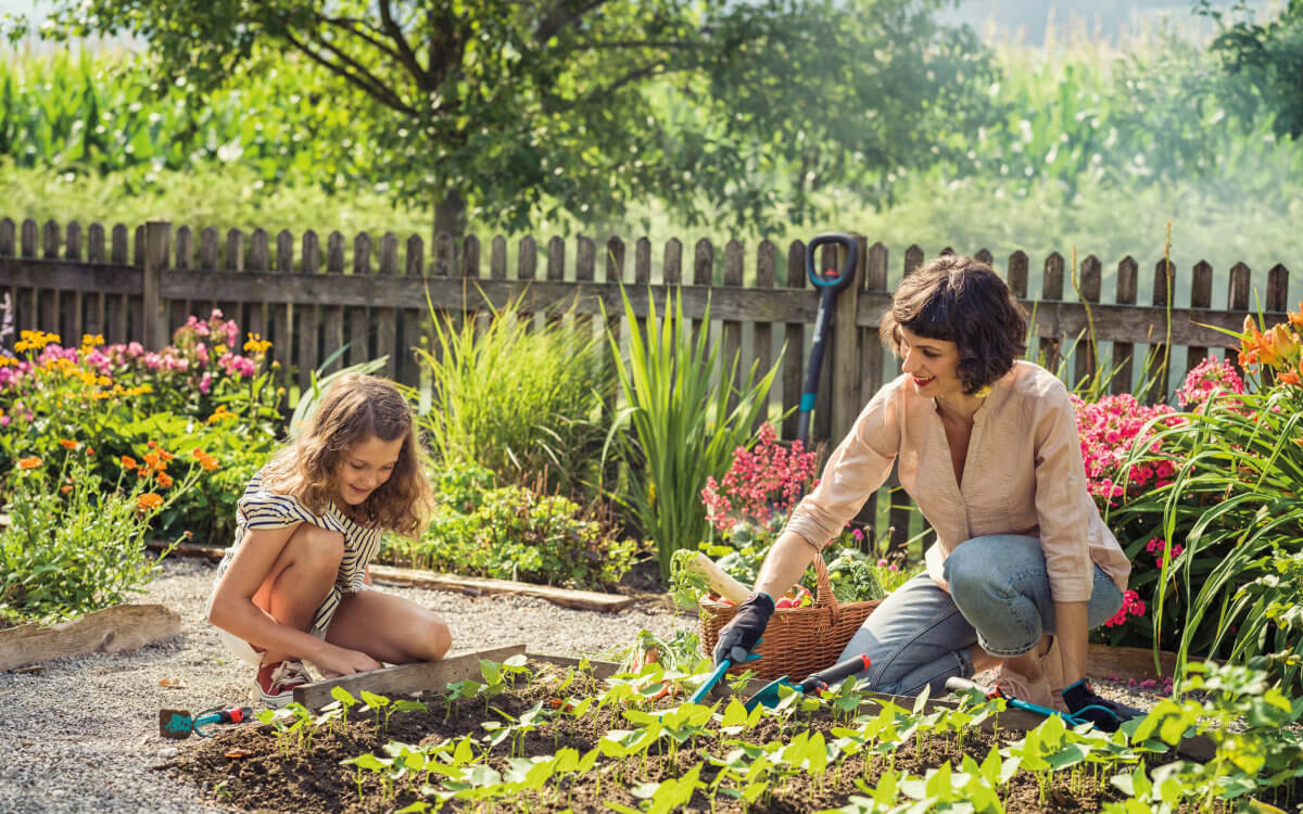 Natur- und Gemüsegärten schaffen ein gutes Klima – weit über den Gartenzaun hinaus!