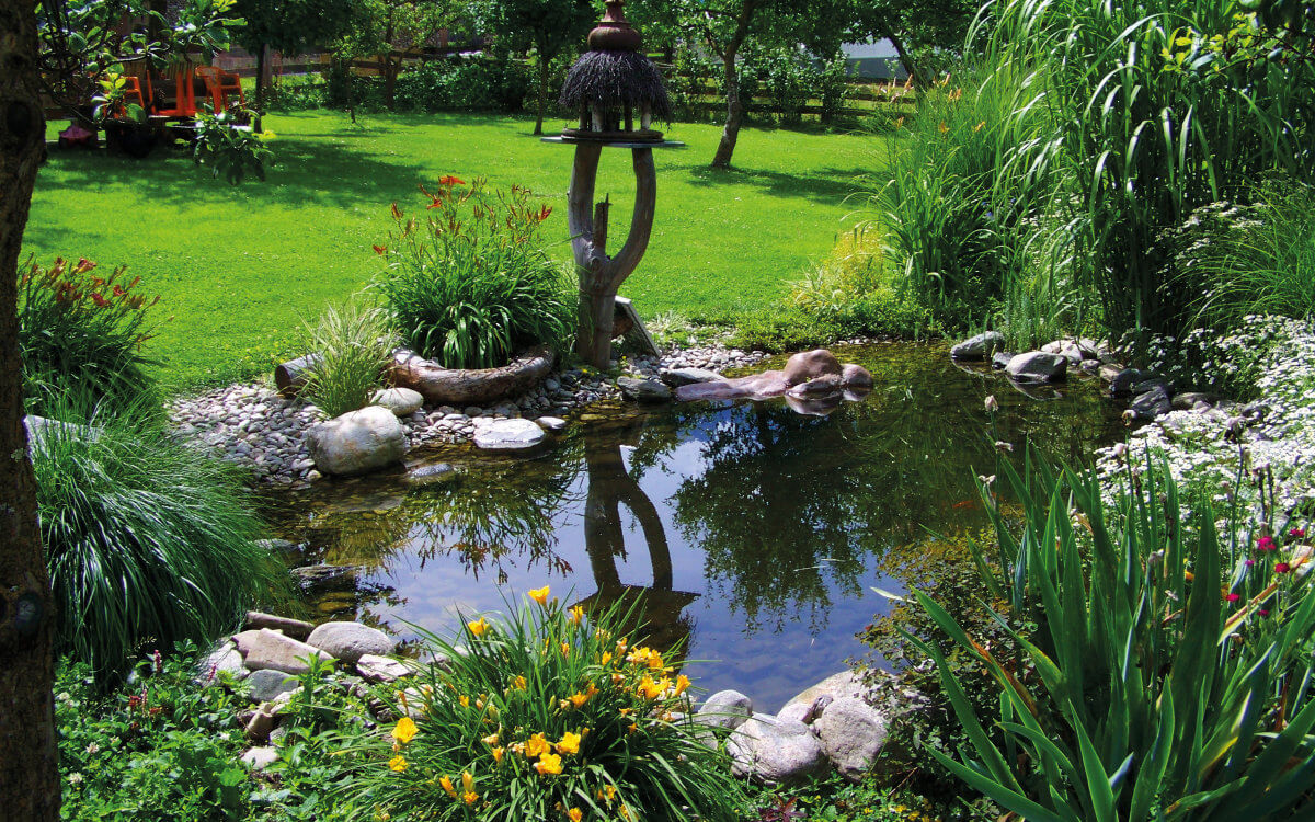 Kleines Paradies im Garten: Ein Teich kühlt die Umgebung ab – und wertet den Garten auf